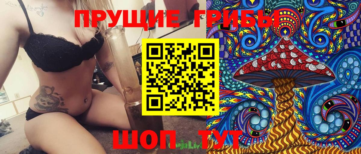 Псилоцибиновые грибы Psilocybine cubensis  Вход с VPN  Унеча  где купить   Галлюциногенные грибы Cubensis 